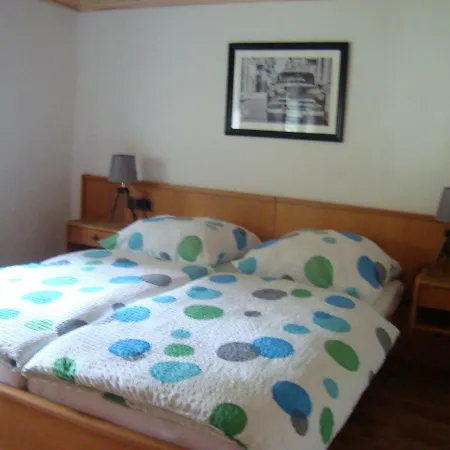 Muehlenberg Apartmán Winterberg